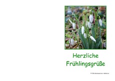 Frühlingskarte-1.pdf